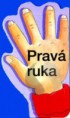 Pravá Ruka